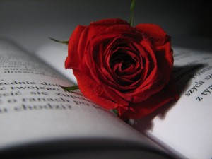 rose_on_the_book_5_by_shadow__angel